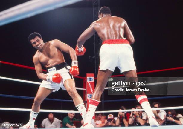 Ali R P 1,968 Muhammad Ali Prior Stock Photos, High-Res Pictures, and Images ...