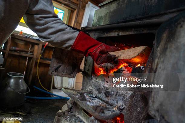 Maple syrup maker Carter Norris adds wood to the firebox of an evaporator March 9, 2024 in Monkton, Vermont. Through a boiling process, it normally...