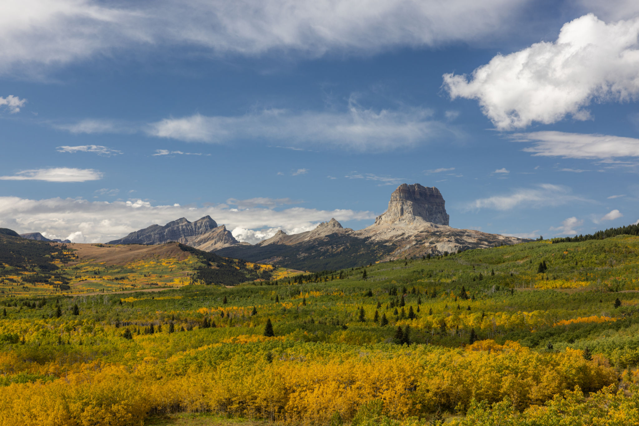 texas landscape