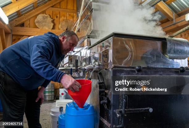 Brian Fortin pours freshly boiled maple syrup from an evaporator into a jug at Pat LeClaires sugar house where he assists production March 9, 2024 in...