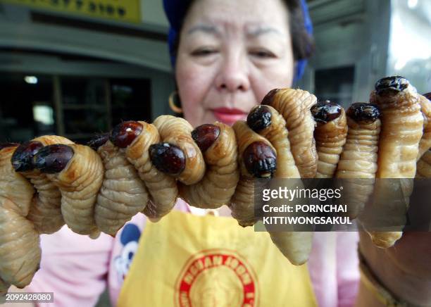 Thai worker prepares grubs to cook in the kitchen of Insects Inter in Bangkok, 12 September 2002. Insects Inter has capitalised on the local taste...