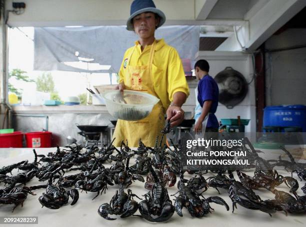 Thai worker arranges fried scorpions in the kitchen of 'Insects Inter in Bangkok, 12 September 2002. Insects Inter has capitalised on the local taste...