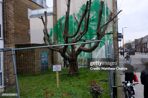 The recent 'Banksy' tree mural is fenced off after the artwork on the side of a building in north London was vandalised with white paint.