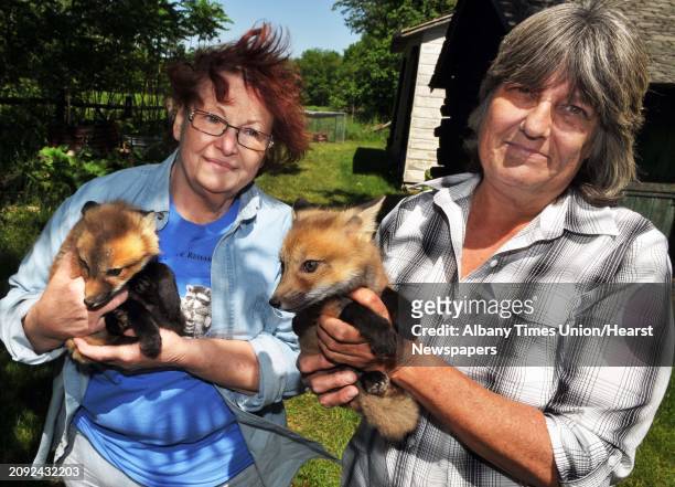 Licensed wildlife rehabilatators Joyce Perry, left, and Maria Dorr-Dorynek at Whispering Willow Wildcare in Charleton Friday June 3 with 6-month-old...