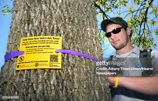 Forest pest outreach coordinator Jason Smith attaches a sign to an ash trees in Albany's Corning Preserve Friday May 18 as part of the upcoming...