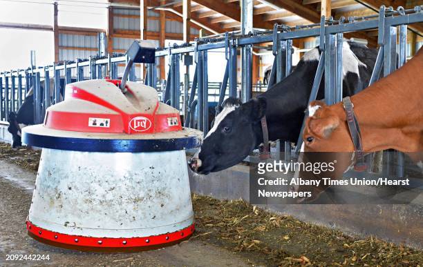 Lely Juno feed pusher robot in action at O.A. Borden & Sons dairy farm Thursday June 12 in Schaghticoke, NY.