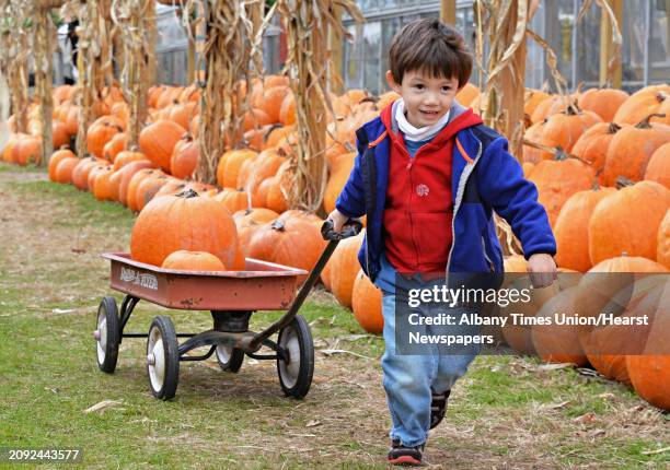 Four-year-old Oscar Hockenos-Chang of Round Lake with the pumpkins he's picked out for Halloween at Sunnyside Gardens Thursday Oct. 30 in Saratoga...