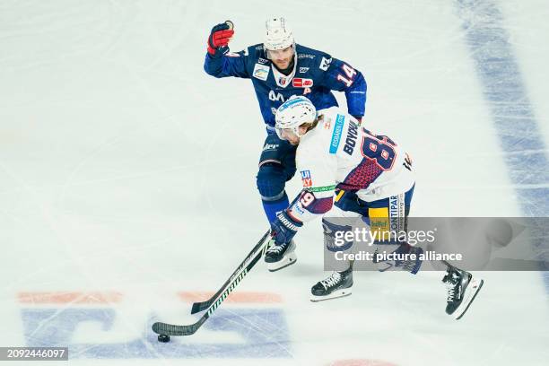 March 2024, Baden-Württemberg, Mannheim: Ice hockey: DEL, Adler Mannheim - Eisbären Berlin, championship round, quarter-finals, matchday 2....