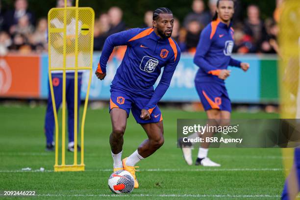 Georginio Wijnaldum of The Netherlands looks up during the Training session of the Netherlands National Football Team at KNVB Campus on March 18,...