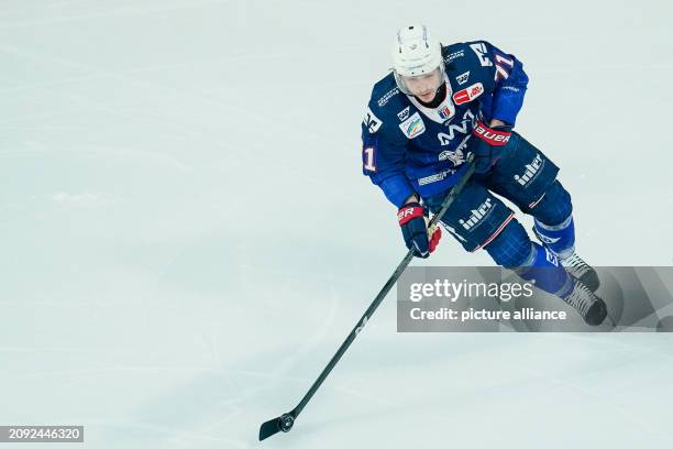 March 2024, Baden-Württemberg, Mannheim: Ice hockey: DEL, Adler Mannheim - Eisbären Berlin, championship round, quarter-finals, matchday 2....