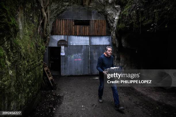 French mushroom grower Laurent Disson carries mushrooms out of a underground quarry, one of the sites where Bordeaux's famous blonde stone was...