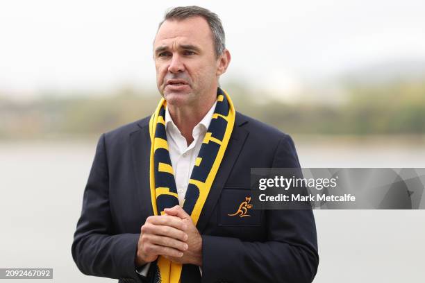 President and Classic Wallaby Joe Roff speaks during the British & Irish Lions Tour of Australia Tickets On Sale National Media Opportunity at...