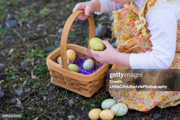 easter egg basket - eggs basket stock pictures, royalty-free photos & images