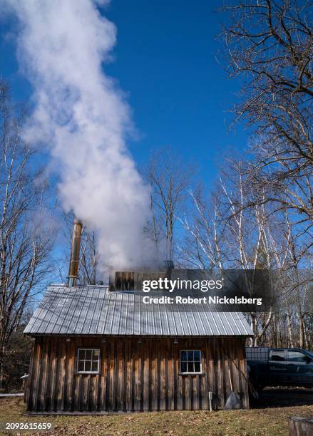 Steam rises from the sugar shack where Pat LeClaire boils sap collected from nearby maple trees March 8, 2024 in Charlotte, Vermont. LeClaire has...