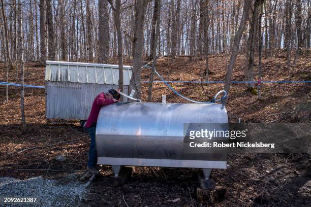 Pat LeClaire checks the level of collected sap from maple trees in a holding tank March 8, 2024 in Charlotte, Vermont. LeClaire has 1170 taps in...