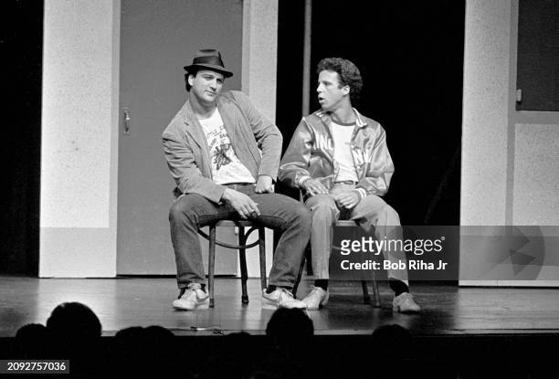 Actor Jim Belushi , brother of John Belushi performs in a showing of 'The Second City' to raise funds for the John Belushi Scholarship Fund, April...