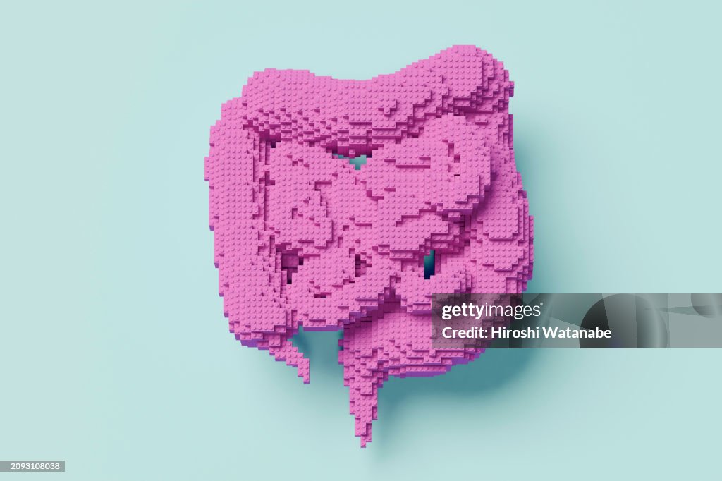Internal Components Pink Human Organs Formed By Pink Blocks Intestine High-Res Stock Photo ...