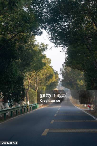 rural asphalt road under the shade of trees - 福建省 stock pictures, royalty-free photos & images