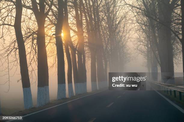 rural asphalt road in morning fog - 福建省 stock-fotos und bilder