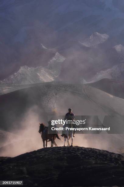 volcanic riders on horseback at mount bromo,indonesia. - cráter de bromo fotografías e imágenes de stock