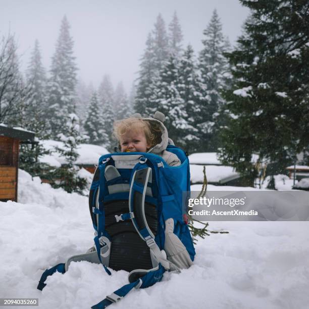 baby get agitated in backpack - sighing stock pictures, royalty-free photos & images
