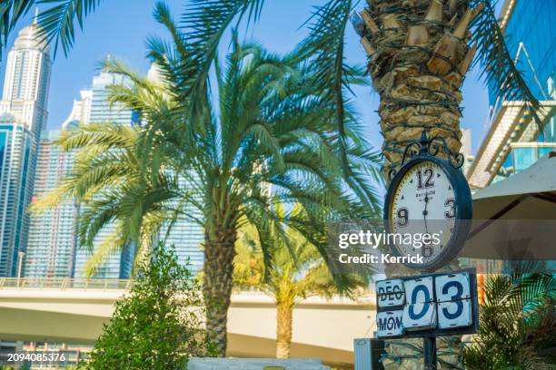 palms and small things of a history shop in dubai marina - dubai marina stock pictures, royalty-free photos & images