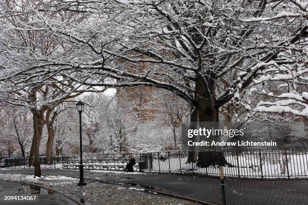 Winter storm covers the trees of Tomkins Square Park with snow on February 17, 2024 in the East Village neighborhood of New York City, New York.