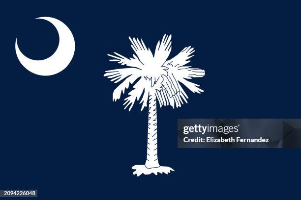 flag of south carolina - border free stock pictures, royalty-free photos & images