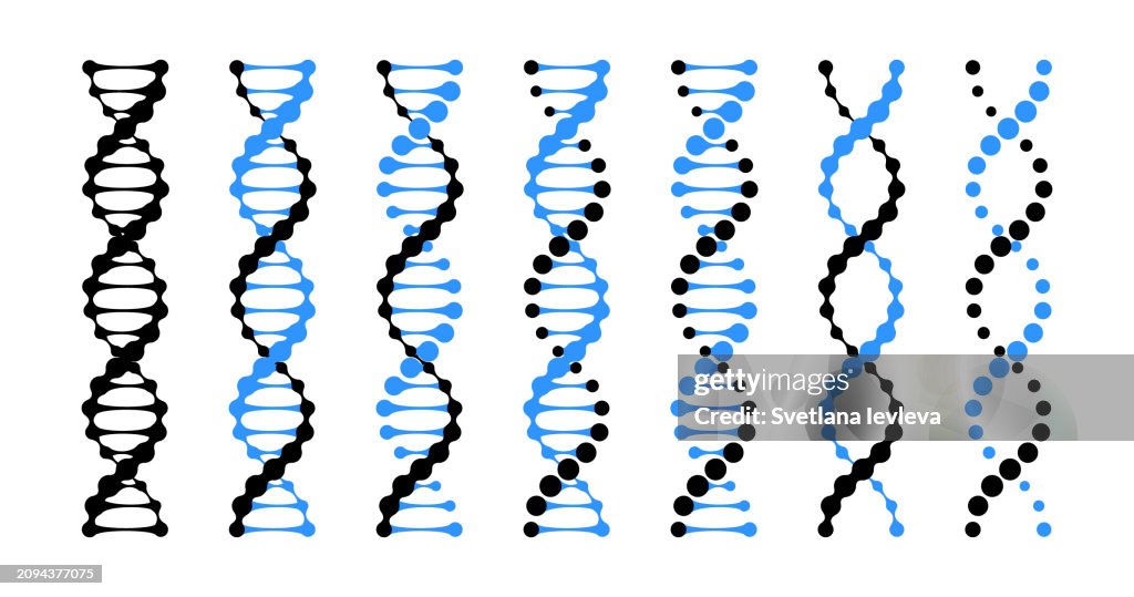 Helix Bio Example Medical Genetic Helix Model Of Human Dna And Rna Chain Spirals Bio ...