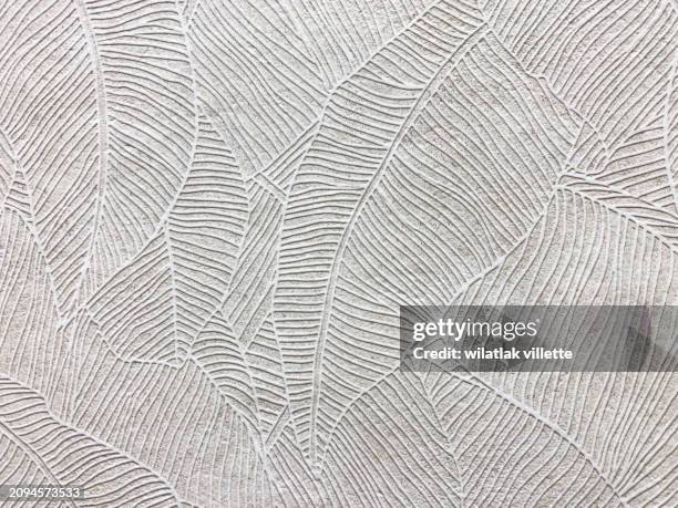 empty studio background - beehive building stock-fotos und bilder