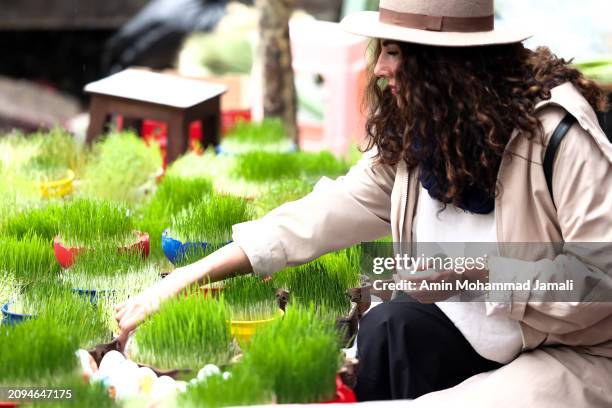 People prepare for the Persian New Year on March 18, 2024 in Tehran, Iran. Nowruz is the Iranian or Persian New Year celebrated by various...