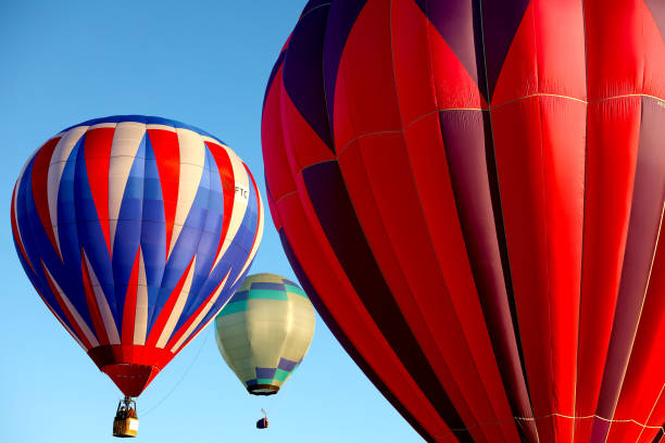 NZL: Balloons Over Waikato 2024