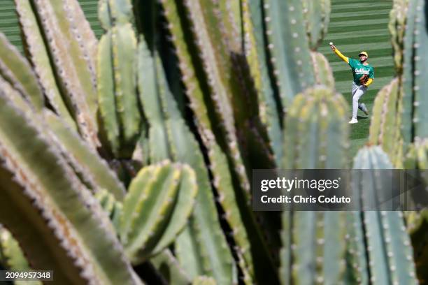 Mitch Spence of the Oakland Athletics warms up before a spring training game against the Arizona Diamondbacks at Salt River Fields at Talking Stick...