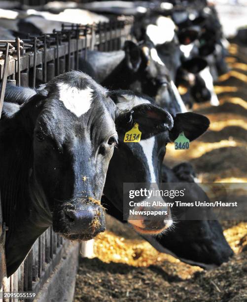 Chris Gibson New York Politician Photos and Premium High Res Pictures ...