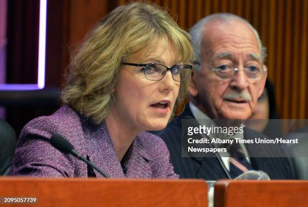 Senator Catherine Young, left, and Assemblyman Herman Farrell, Jr. During a joint budget hearing on elementary and secondary education at the...
