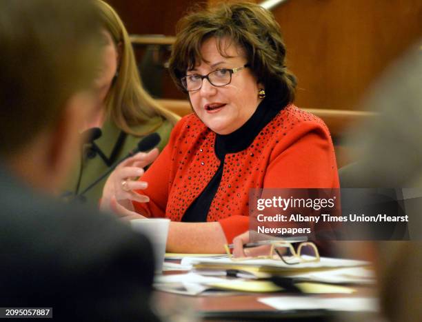 Commissioner of Education MaryEllen Elia testifies before the state Senate and Assembly as they hold a joint budget hearing on elementary and...