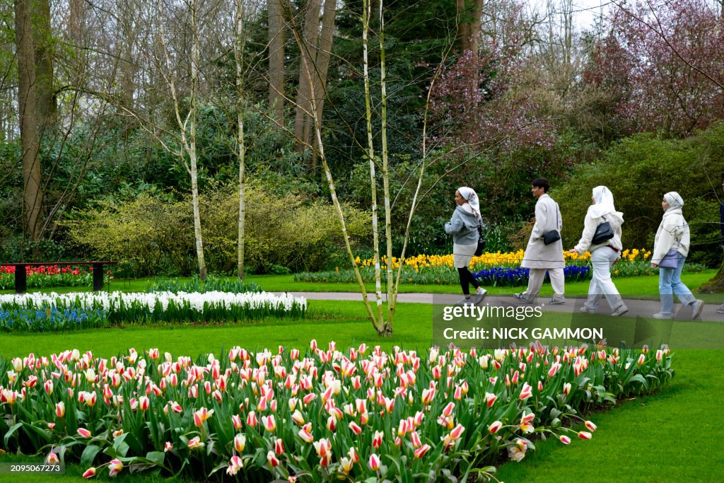 NETHERLANDS-CULTURE-TOURISM-HORTICULTURE