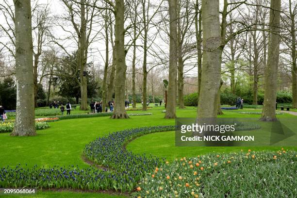 People visit the Keukenhof gardens in Lisse, western Netherlands, on March 21 after the world's biggest tulip garden opened to the public for its...