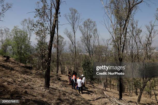 Members of Civil Protection are rescuing a person who suffered a fall while climbing Cerro de la Estrella in the Iztapalapa mayor's office in Mexico...