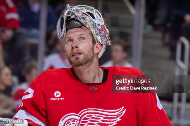 James Reimer of the Detroit Red Wings looks on after the goal by Mike Reilly of the New York Islanders during the second period at Little Caesars...