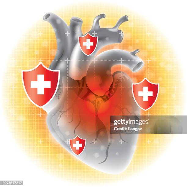 human heart - atrium stock illustrations