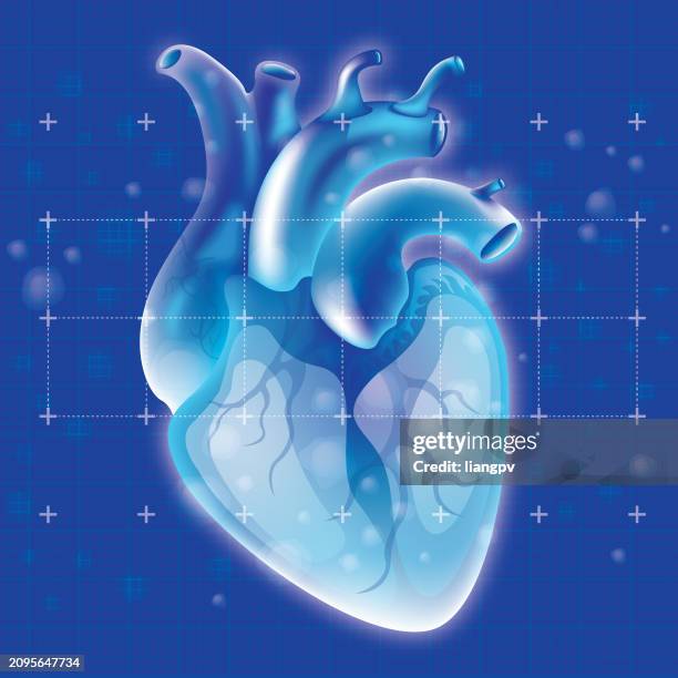 ilustraciones, imágenes clip art, dibujos animados e iconos de stock de corazón humano - ilustración biomédica