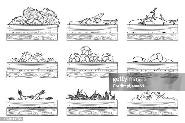 boxes with vegetables. tomato, pepper, carrot, eggplant, cucumber, lettuce, broccoli, corn, potato. - cereal box stock illustrations
