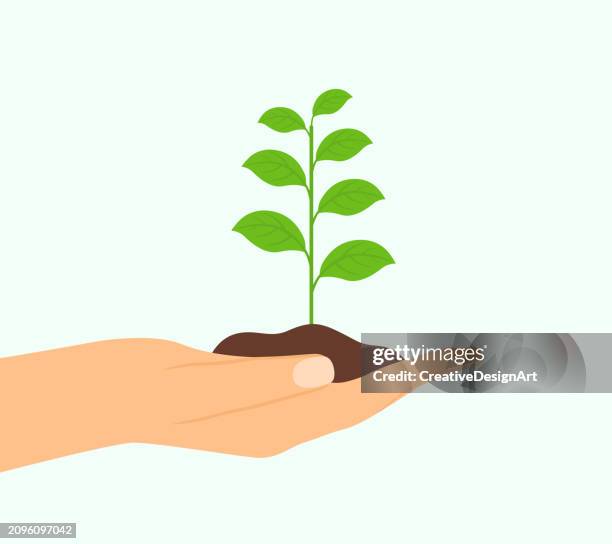 stockillustraties, clipart, cartoons en iconen met seedling with soil in human hand. sustainability, saving the planet and forestation concept - red background