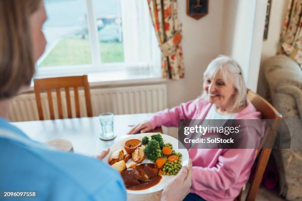 roast dinner for her patient - normal distribution stock pictures, royalty-free photos & images
