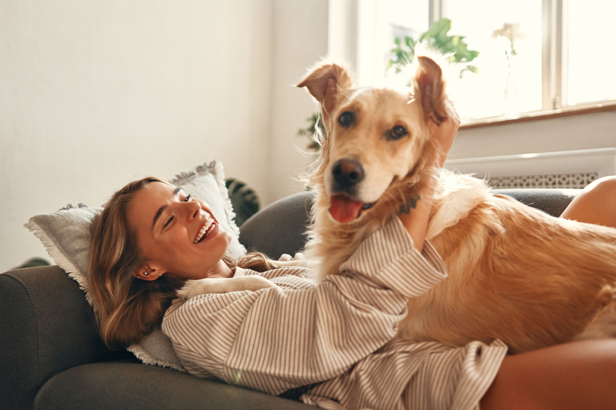 happy dog owner