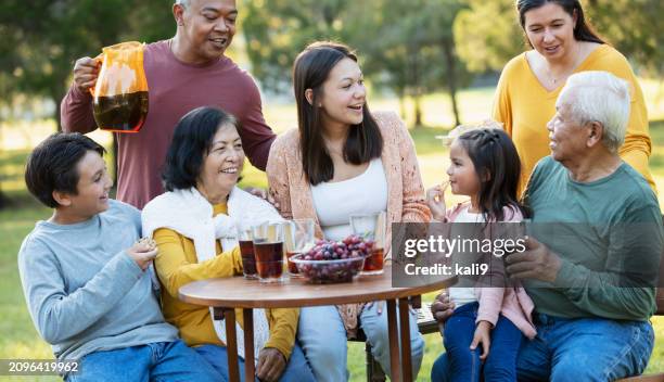 multi-generation multiracial family eating in back yard - filipino family reunion stock pictures, royalty-free photos & images