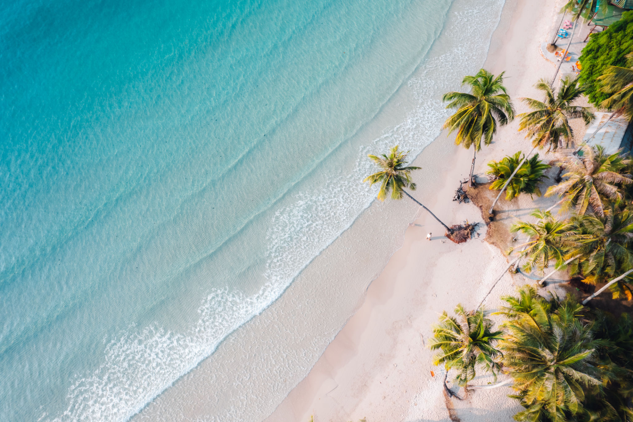 tropical beach
