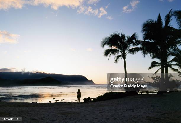 Woman standing on a beach under palm trees at sunset on the Na Pali Coast, Island of Kauai, Hawaii, 2007. .