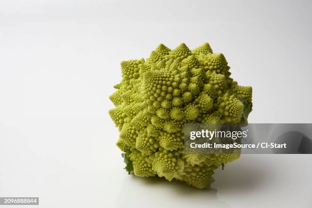 romanesco cauliflower on white background - chou romanesco stock pictures, royalty-free photos & images